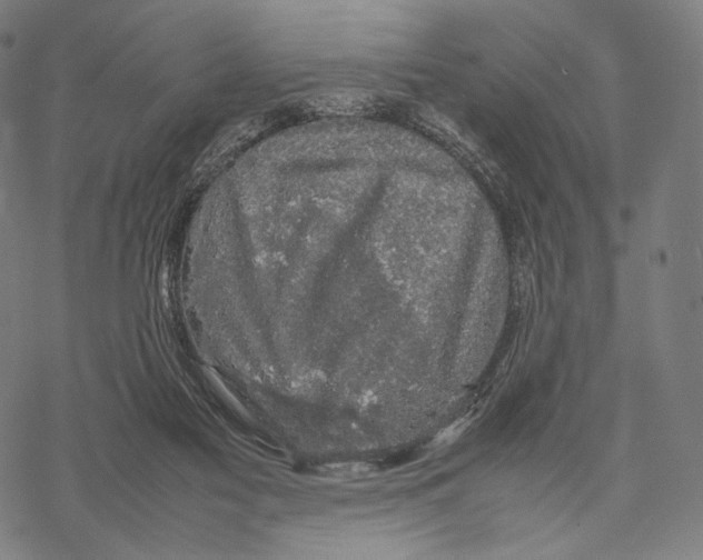 X0000067870117200605111809