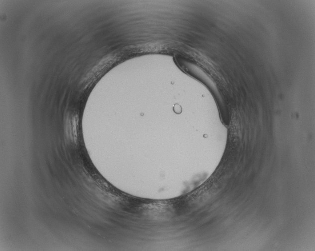 X0000067870118200605111809