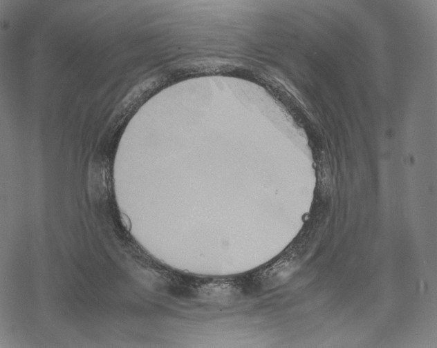 X0000067870119200605111809