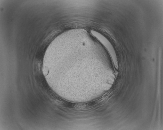 X0000067870123200605111809