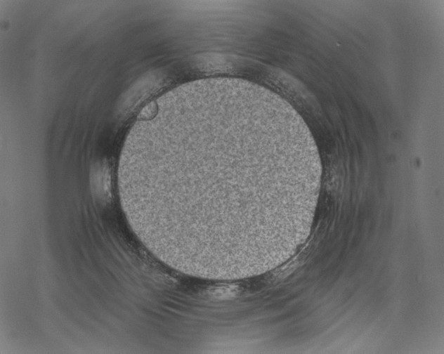 X0000067870124200605111809