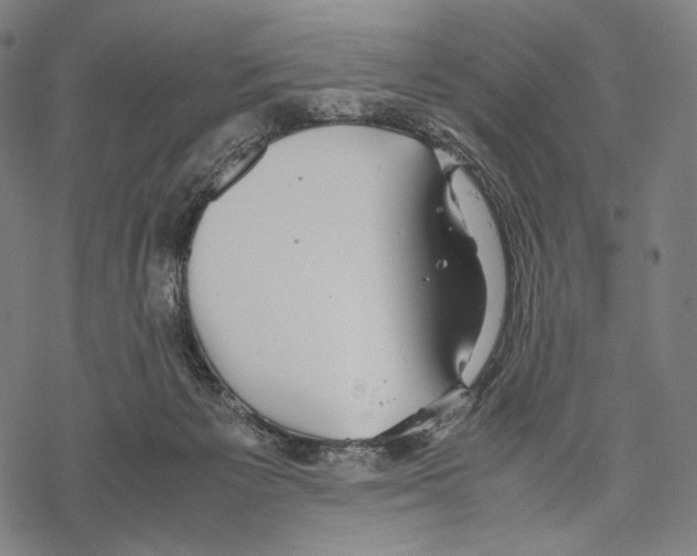 X0000067870125200605111809