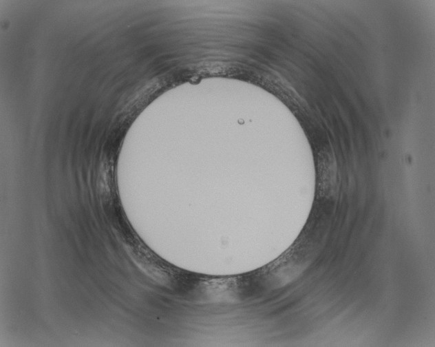 X0000067870126200605111809