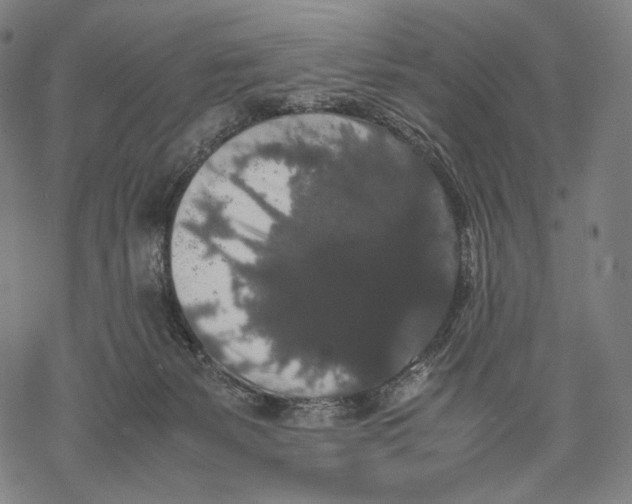 X0000067870127200605111809