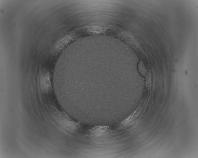 X0000067870128200605111809