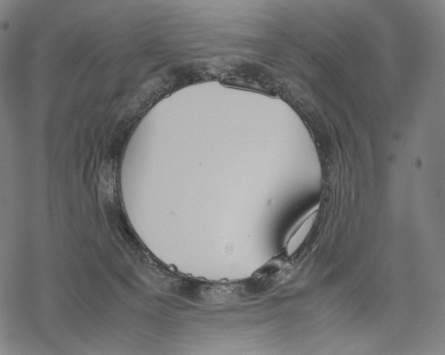 X0000067870129200605111809