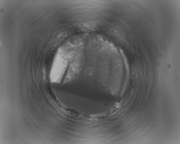 X0000067870130200605111809