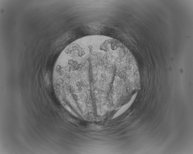 X0000067870131200605111809