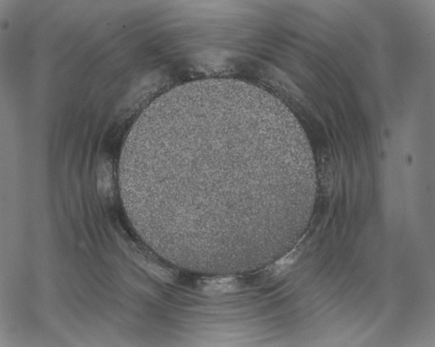 X0000067870132200605111809