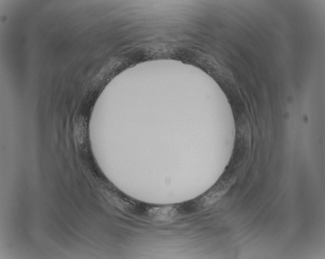 X0000067870133200605111809