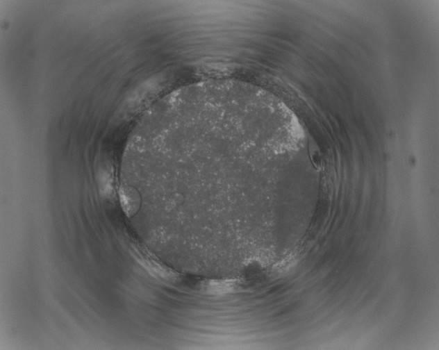 X0000067870134200605111809