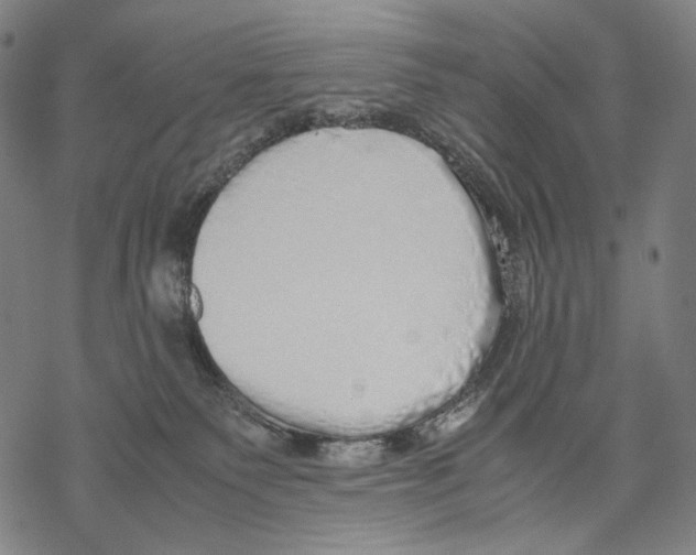 X0000067870135200605111809