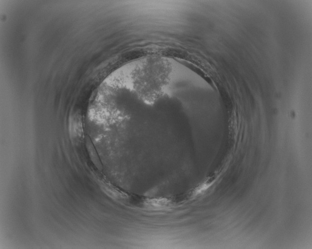 X0000067870137200605111809