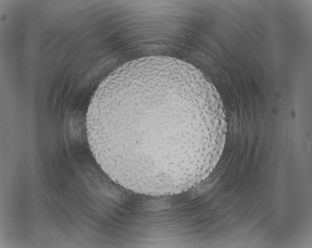 X0000067870138200605111809