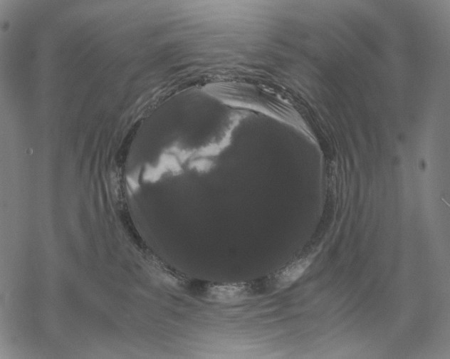 X0000067870139200605111809