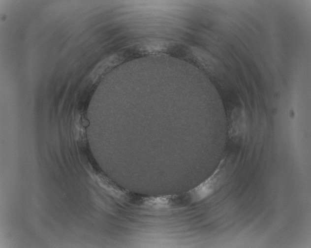 X0000067870140200605111809