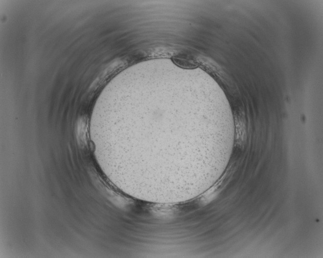 X0000067870142200605111809