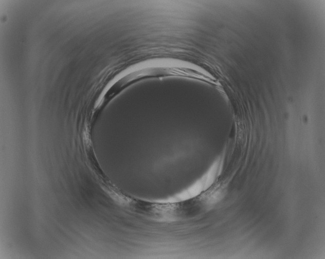 X0000067870143200605111809