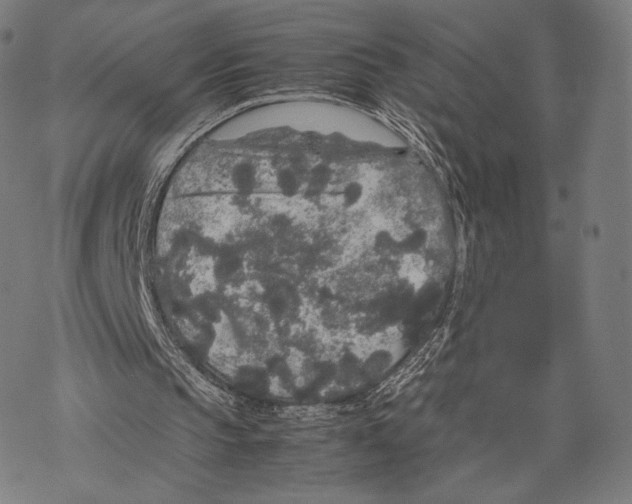 X0000067870145200605111808