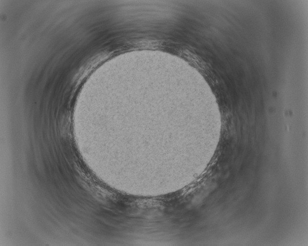 X0000067870146200605111808