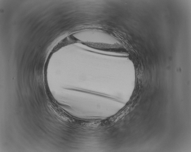 X0000067870148200605111808