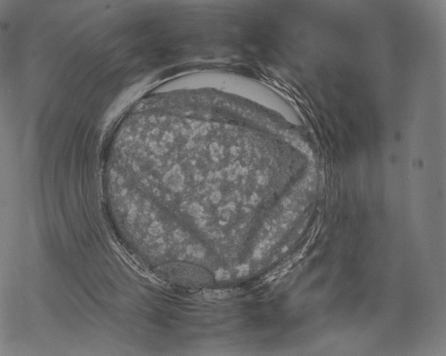 X0000067870149200605111808