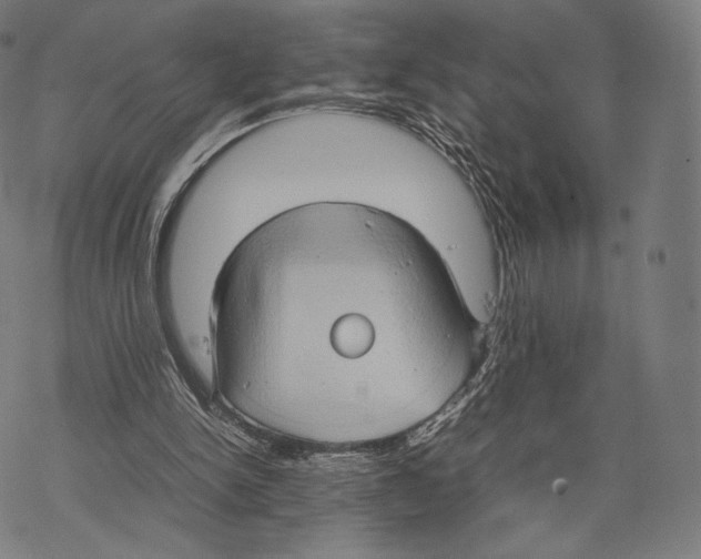 X0000067870150200605111808