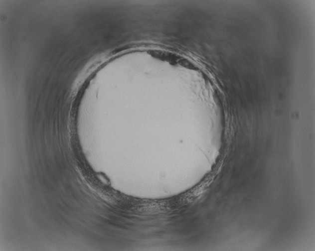 X0000067870151200605111808