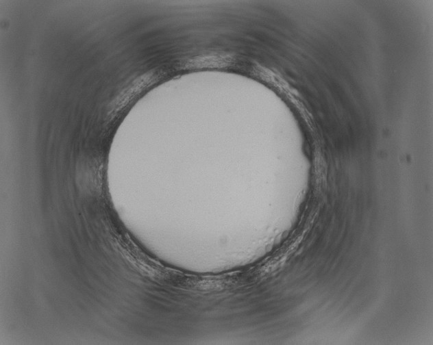 X0000067870153200605111808