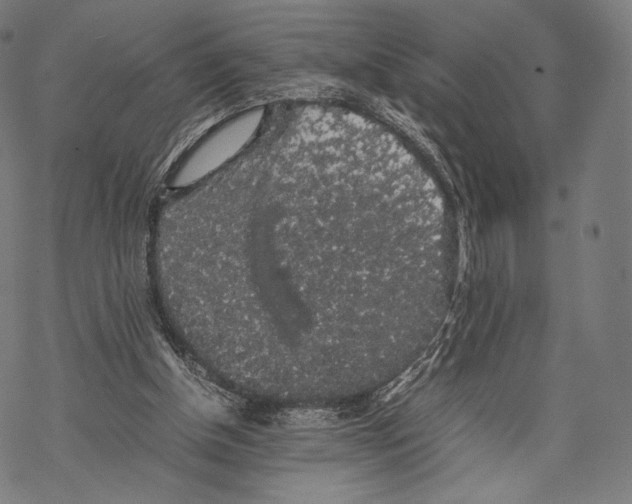 X0000067870154200605111808