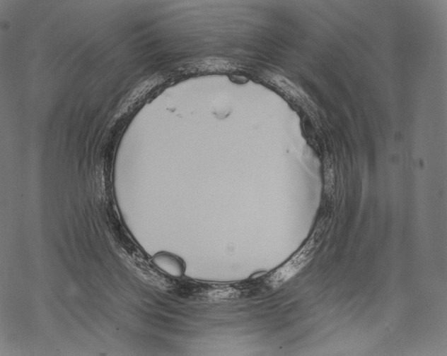 X0000067870158200605111808