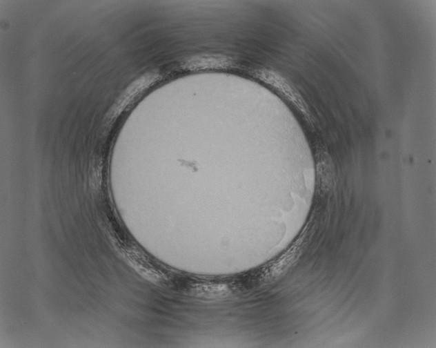 X0000067870159200605111808