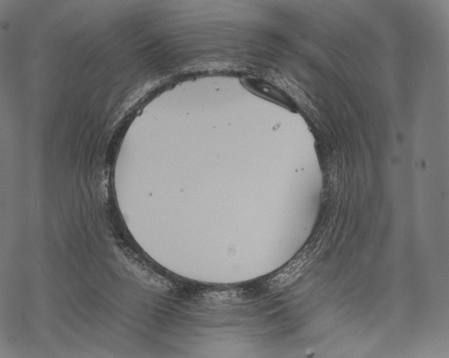 X0000067870160200605111808