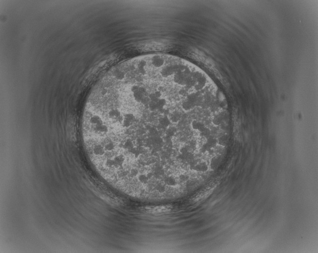 X0000067870161200605111808