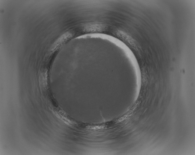 X0000067870163200605111808