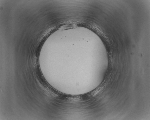 X0000067870164200605111808