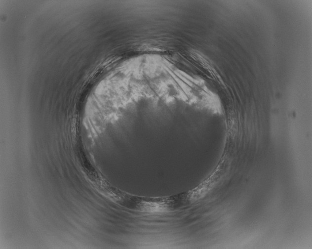 X0000067870167200605111808