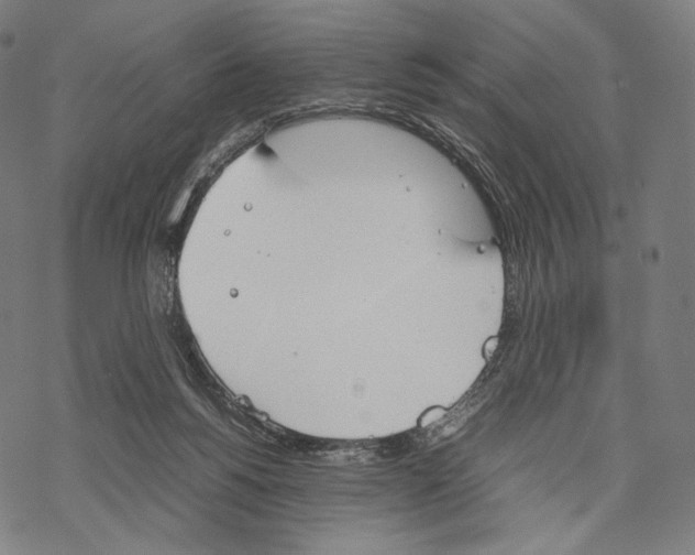 X0000067870168200605111808