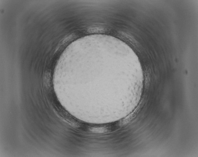 X0000067870171200605111808