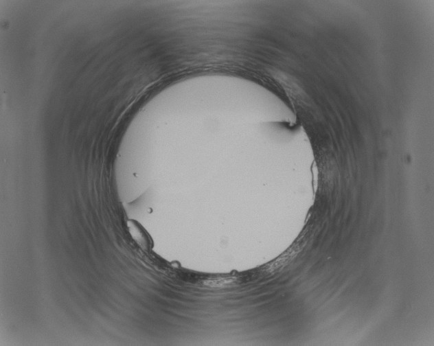 X0000067870172200605111808