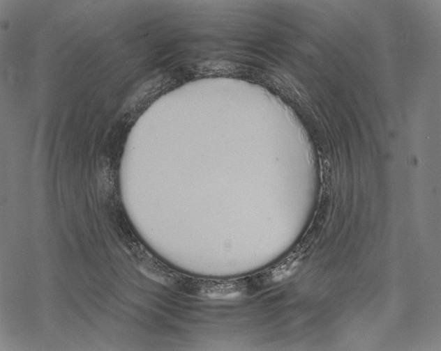 X0000067870173200605111808