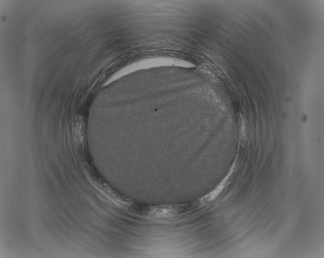 X0000067870174200605111809