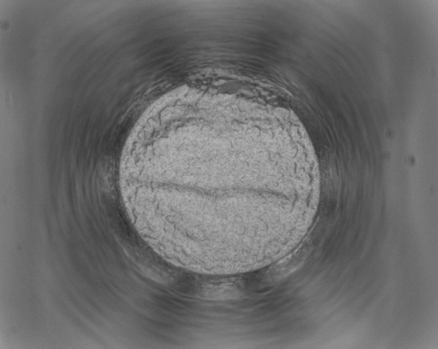 X0000067870175200605111809