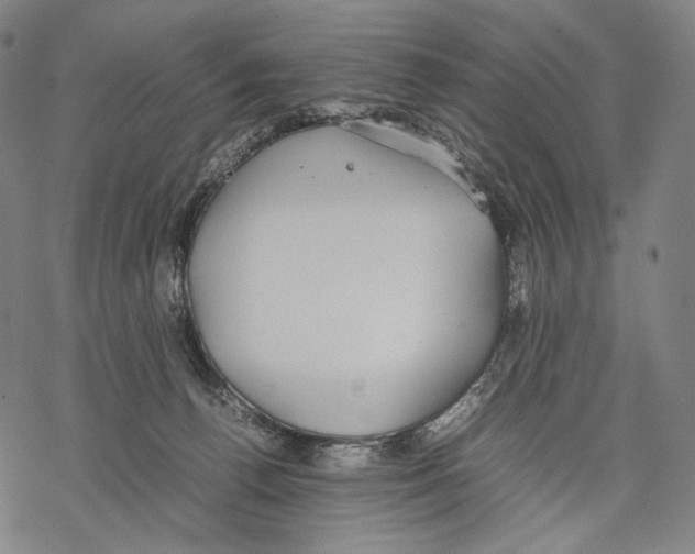 X0000067870176200605111809