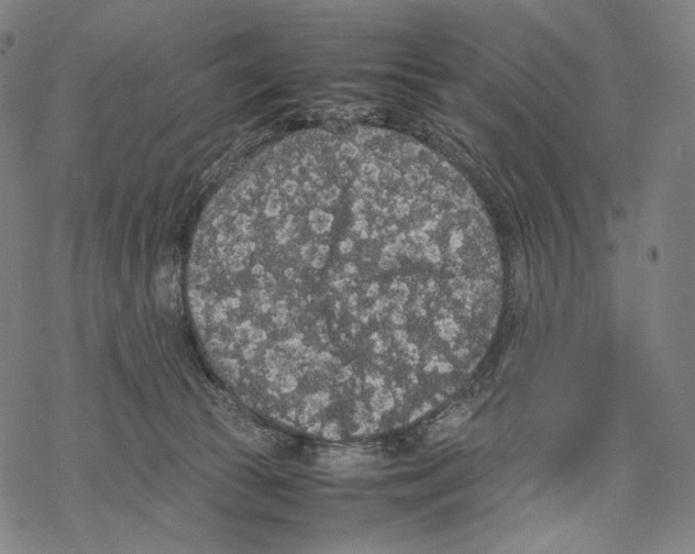 X0000067870177200605111809