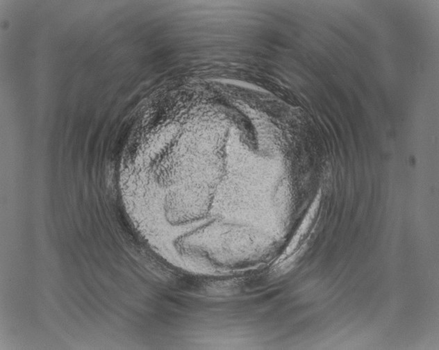 X0000067870178200605111809