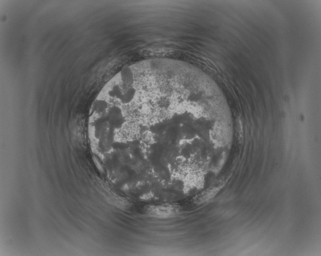 X0000067870181200605111809