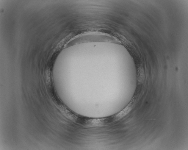 X0000067870184200605111809