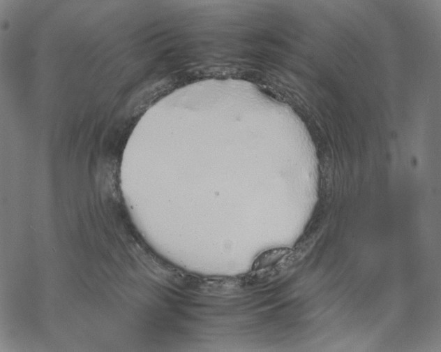 X0000067870185200605111809