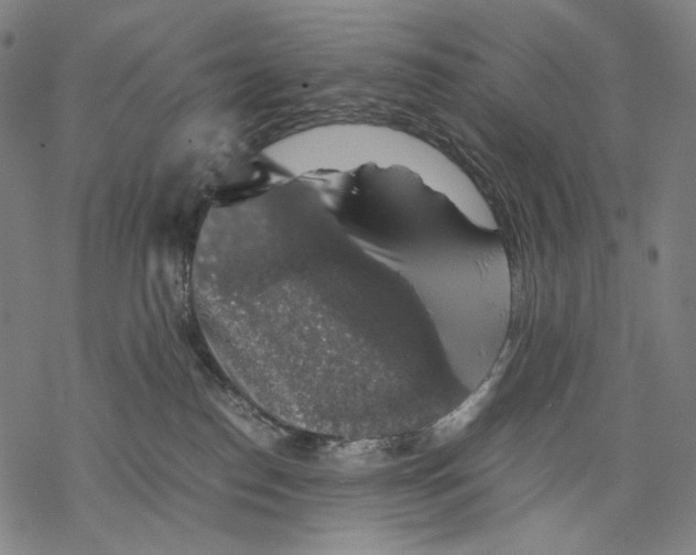 X0000067870186200605111809